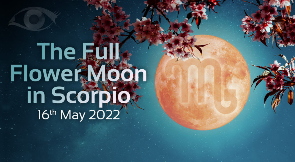 The Flower Full Moon in Scorpio Psychic Today Trusted Psychics