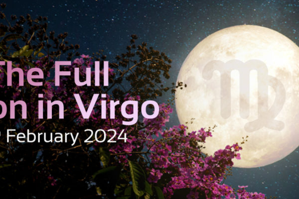 full moon with pink flowers in tree, text that says 'the full moon in virgo, 24th february 2024'