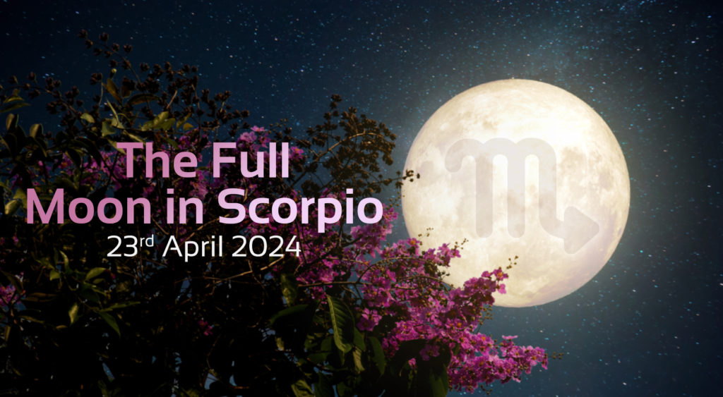 'the full moon in libra, 23rd April 2024' text with image of tree and full moon with scorpio symbol