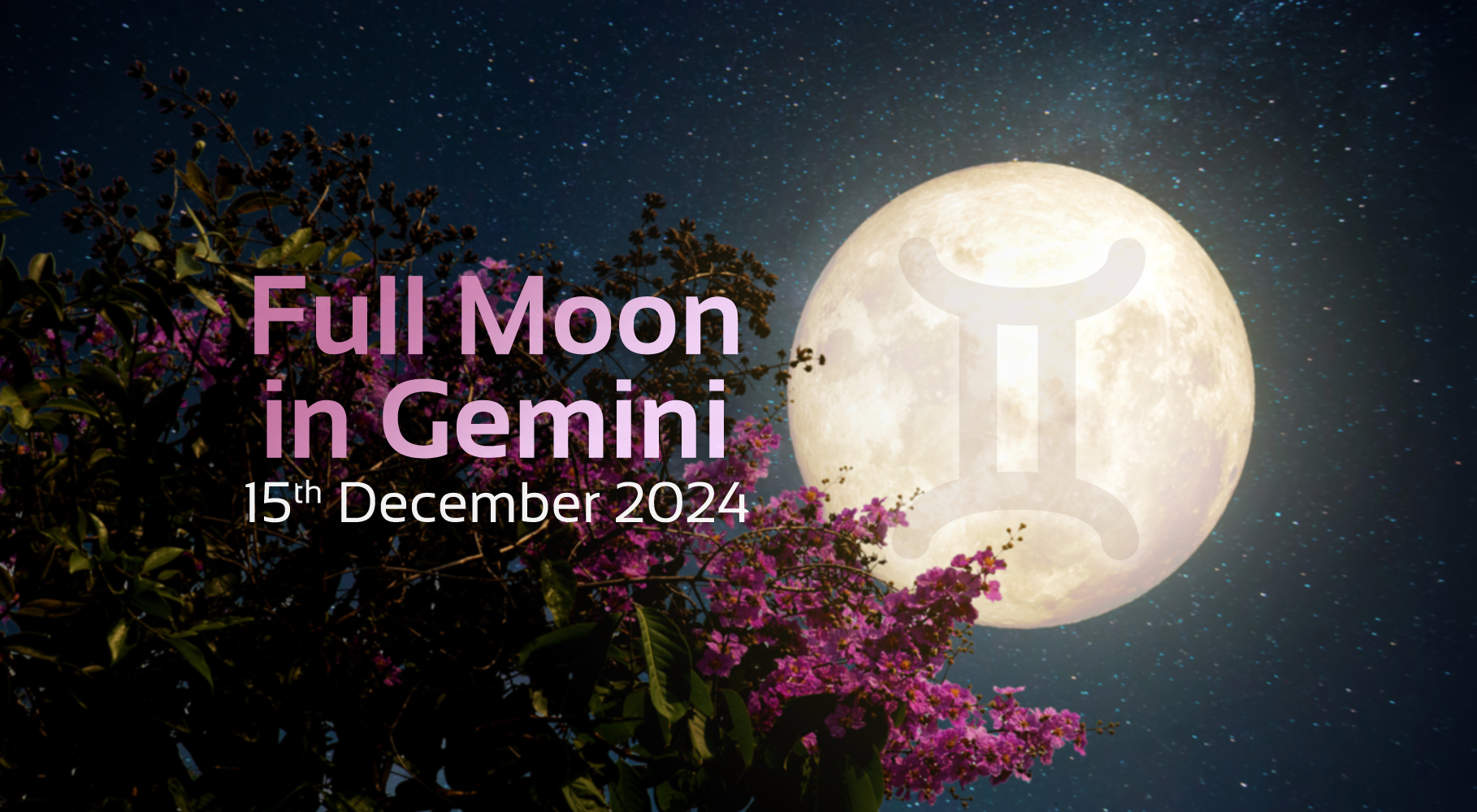 Full Moon in Gemini 15th December 2024 Indigo's Oracle Psychic Today