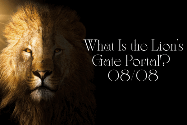 what is the lion's gate portal 08/08 text with image of lion in shadows